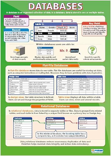 Miniatura 4 de Daydream Education Pósteres de bases de datos, juego de 3 pósteres de tecnología e informática, papel brillante que mide 33 x 23.5 pulgadas,
