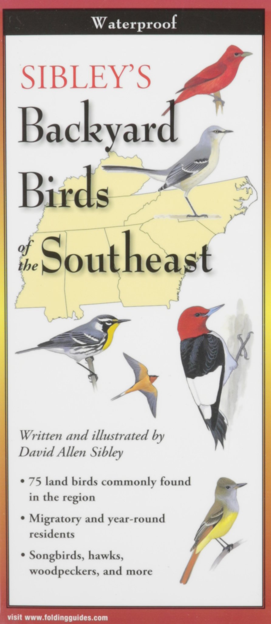 Sibley's Backyard Birds of the Southeast (Foldingguides)