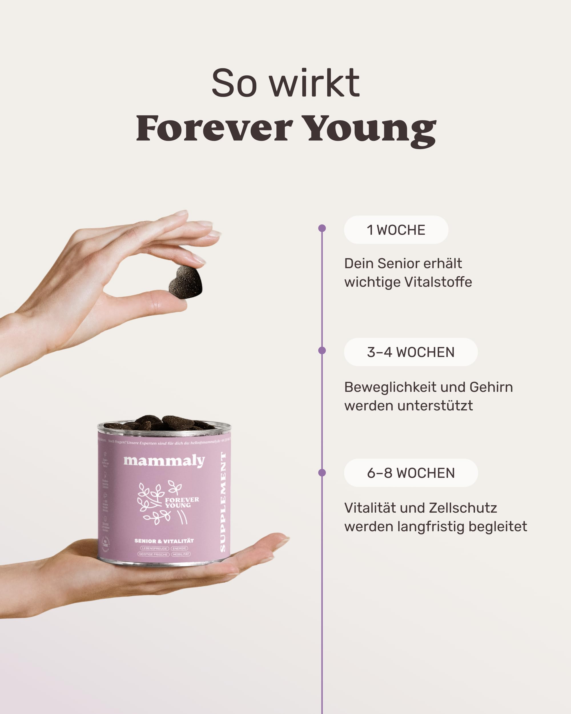6-in-1 Vital-Komplex für Senior Hunde - Forever Young 120 Snacks (350g) von mammaly - Mit Ginko, Kurkuma, Bierhefe, Kollagen, L-Carnitin & Mikroalgen für den Alten Hund