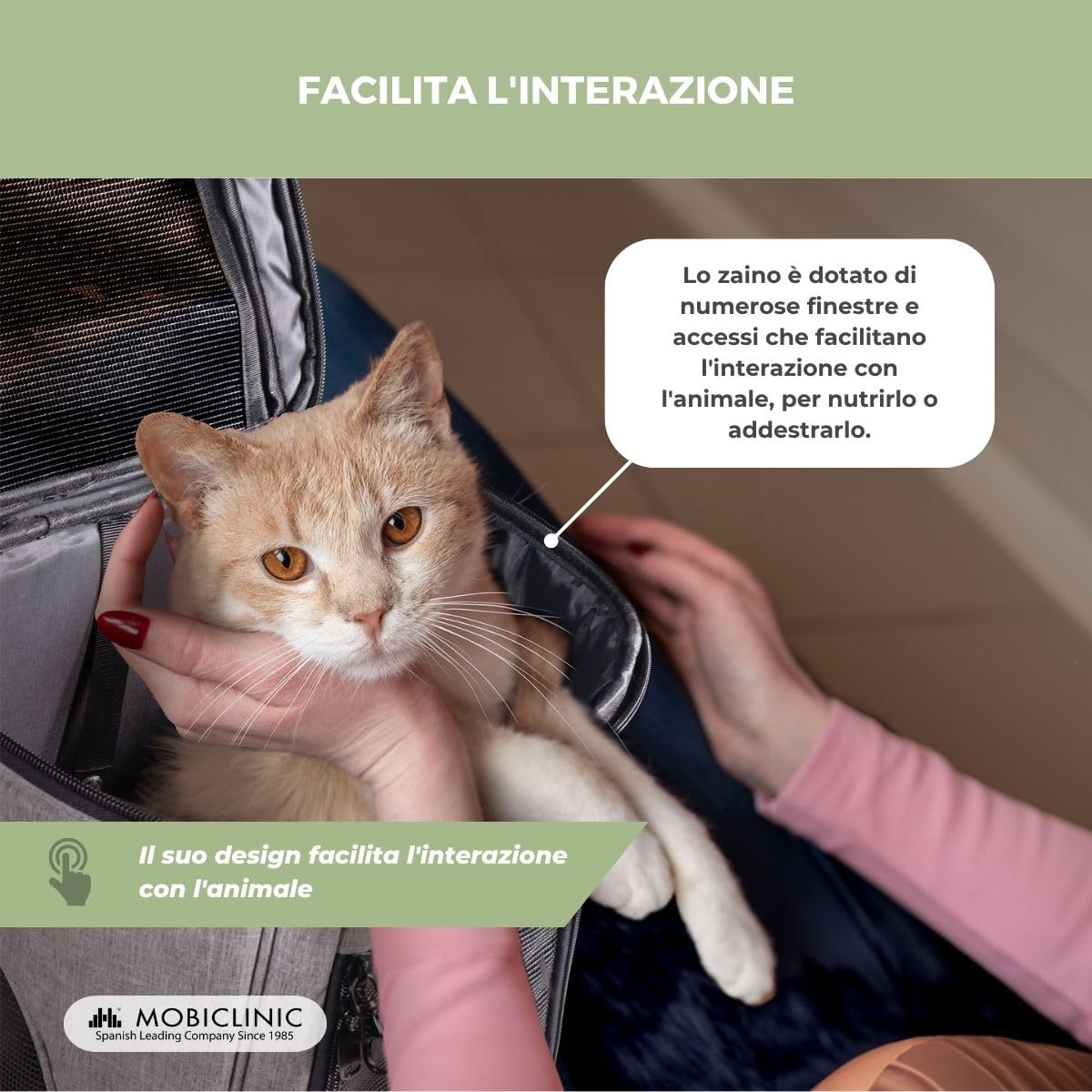 Mobiclinic® pets, Zaino per animali domestici, Thor, Pieghevole, Finestra a rete, Tasche accessori, Accesso multiplo, Doppia maniglia, 30x25x40 cm, Trasportino cani e gatti