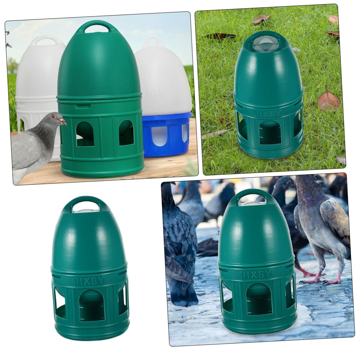 Abreuvoir à Pigeons 10 L en Plastique Vert, Rond, Poignée