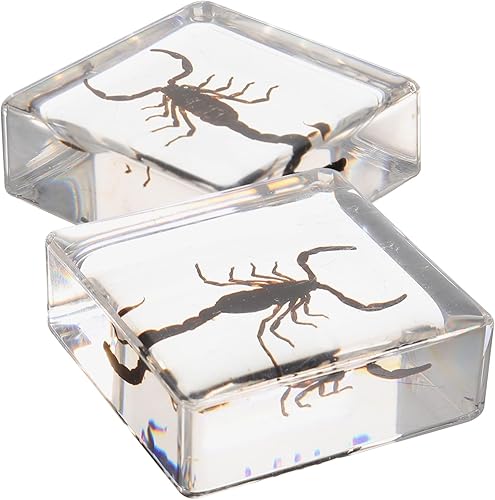 Pisapapeles de resina, 2 piezas, colecciones en forma, decoración de mesa, decoración de escritorio, ornamento de escritorio, ornamento de