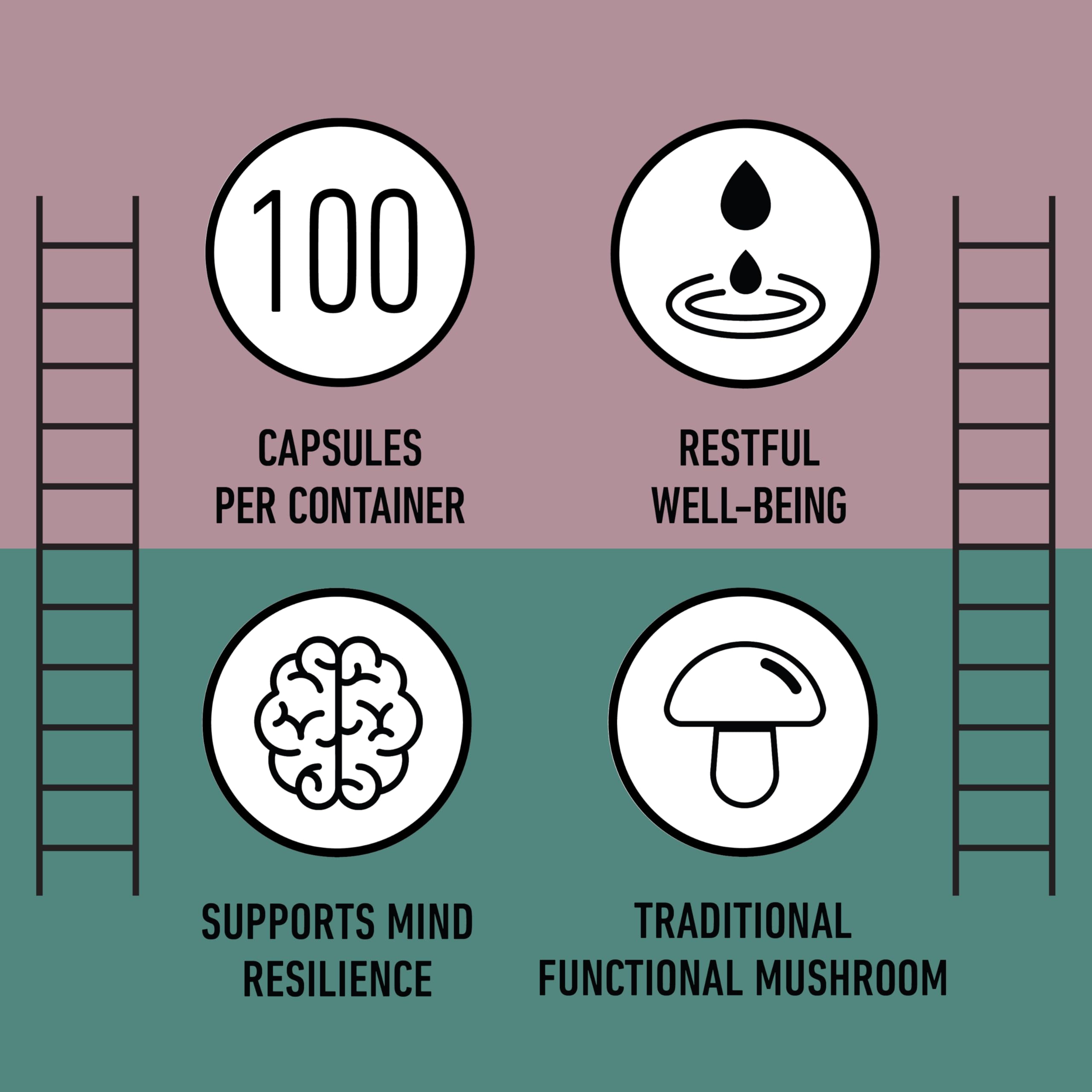 Complete Natural Products Organic Reishi Mushroom Capsules, 250mg, 100ct | Fruiting Body Extract | Plant-Based | Adaptogenic Support | Made in USA | Organic & Kosher Capsules — Amazon image 8