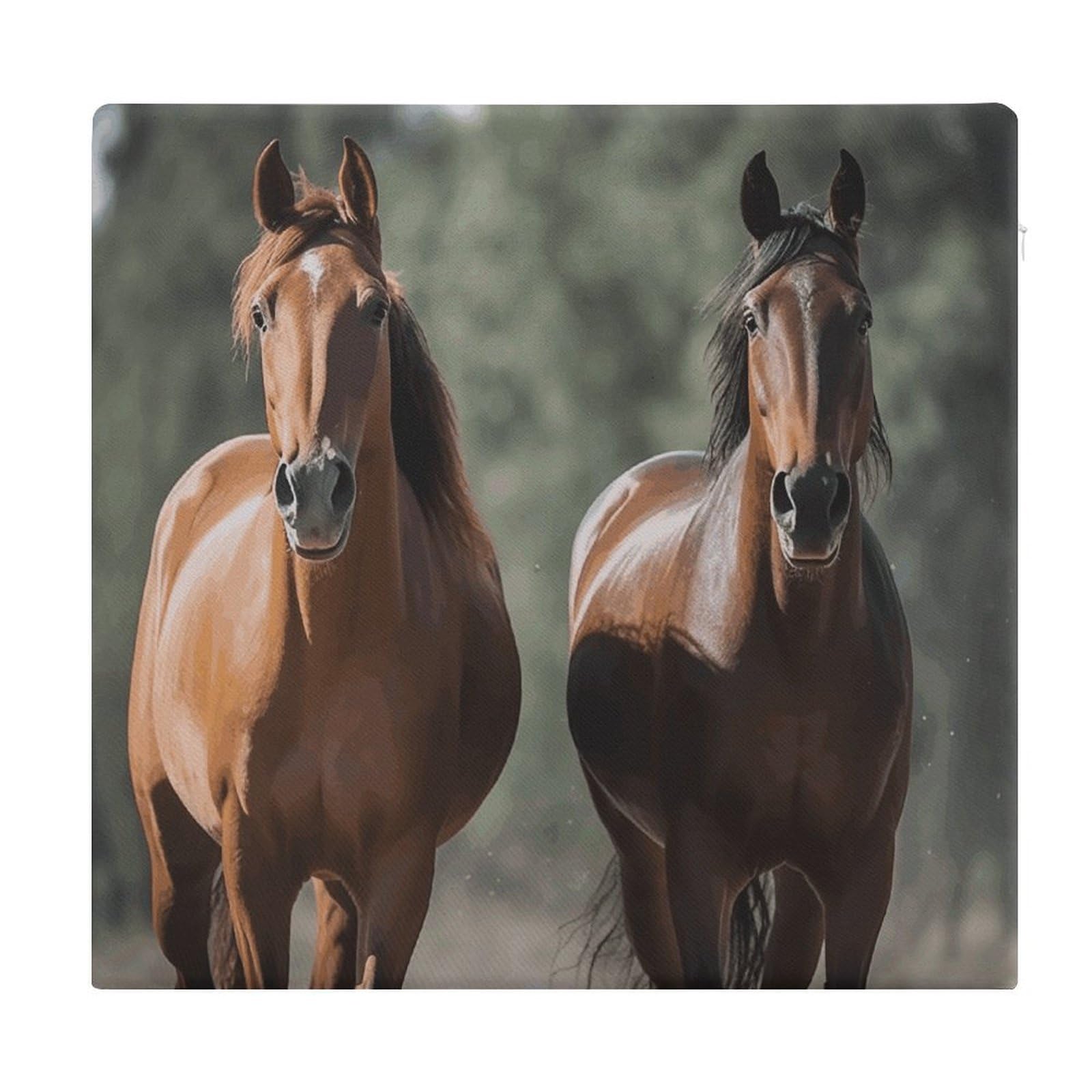 FekiLoot Animales Horses Seat Cushion for Dining Chairs Breathable Square Chair Pads Memory Foam Chair Cushions Comfortable Non-Slip Seat Pad Meditation Floor Pillow 13.8”x15”