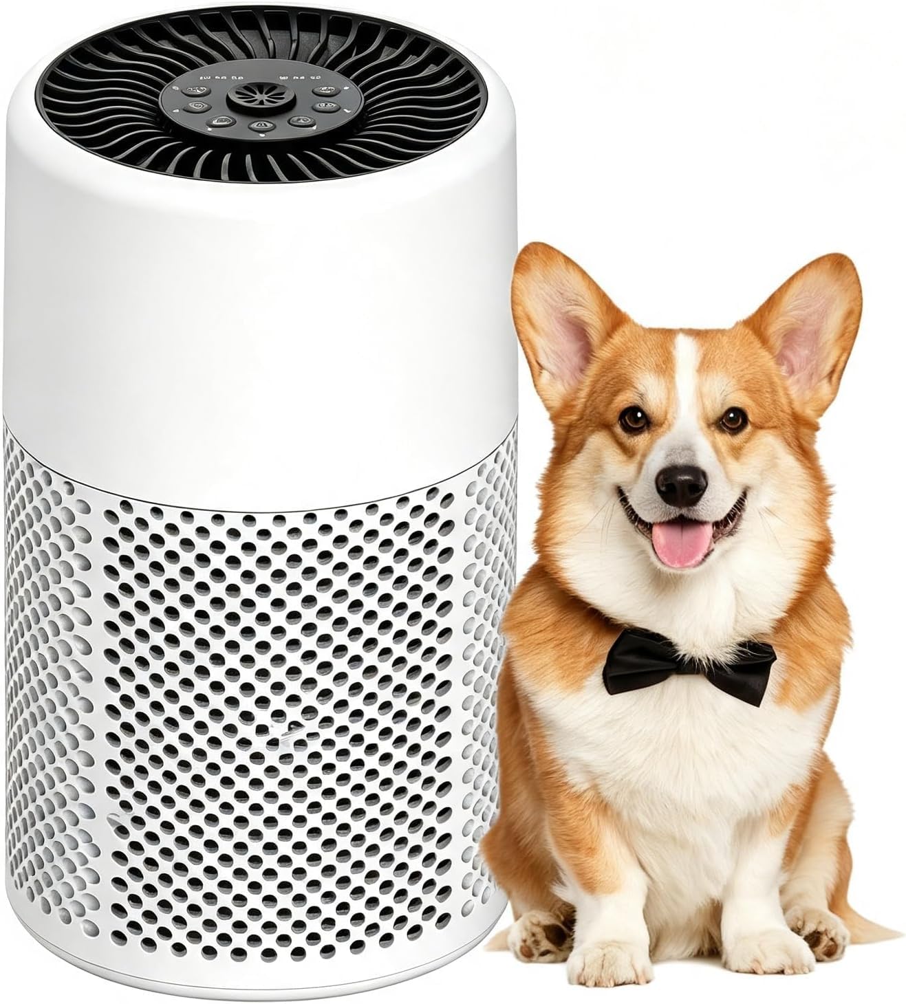 CHIVALZ Purificador de Aire con Filtro HEPA, blanco, 1 Paquete
