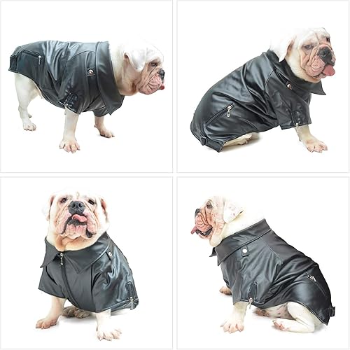 Miniatura 6 de Lovelonglong Chaqueta de cuero fresca para perro, abrigos cálidos para perros, resistentes al viento, abrigos para clima frío para pugs bulldog