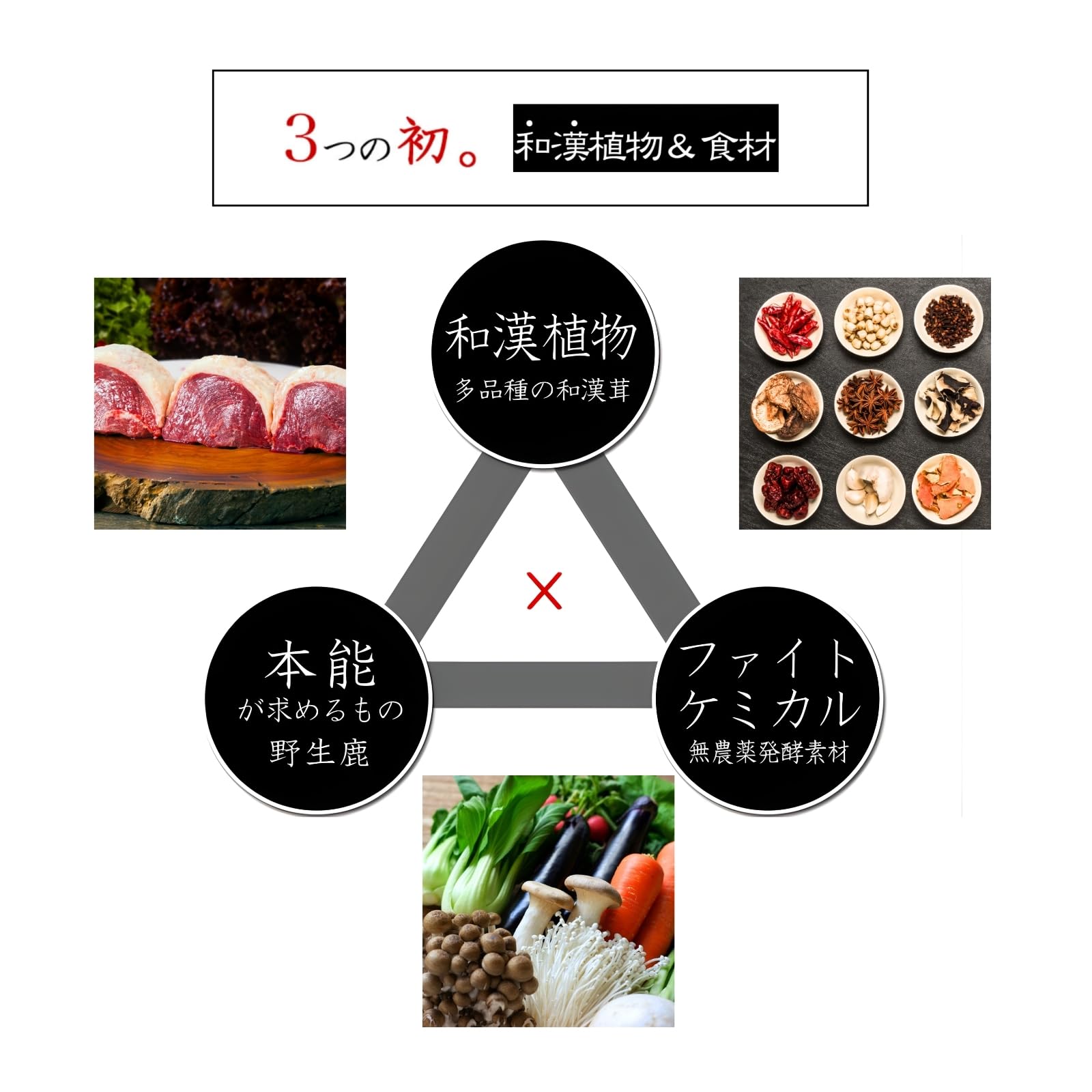 Amazon.co.jp: 自然の森製薬株式会社 和漢みらいのドッグフード 総合