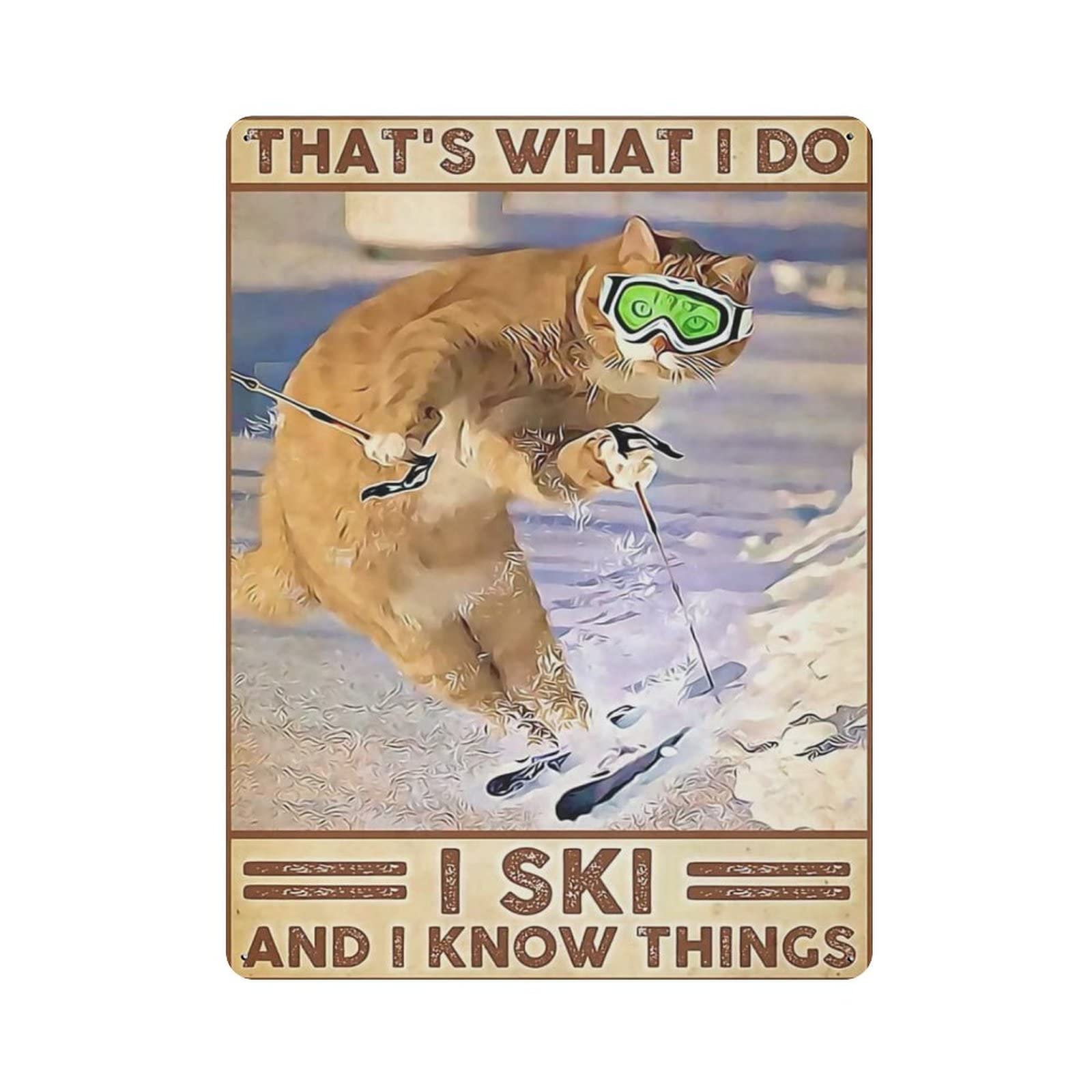 AOOEDM I Ski And I Know Things Metal Signs for Garage Man Cave Bar Kitchen Coffee Tin Sign Nostalgic Wall Decor Signs Vintage Retro Poster