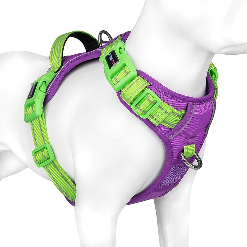 Peitoral Vest para Cães com Alça e Material Refletivo PHOEPET Extra Grande Purple Base & Green Straps