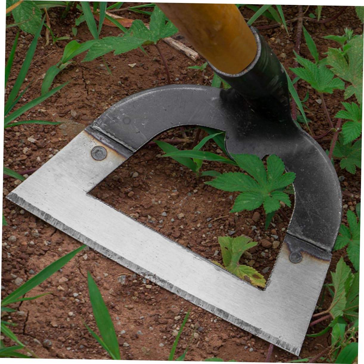 Attrezzo da Giardinaggio in Acciaio Inox Resistente per Diserbo Manuale, Strumento Leggero da Taglio per Dissodare e Seminare, Utensile da Giardino Pratico per Cura Prato e Orto