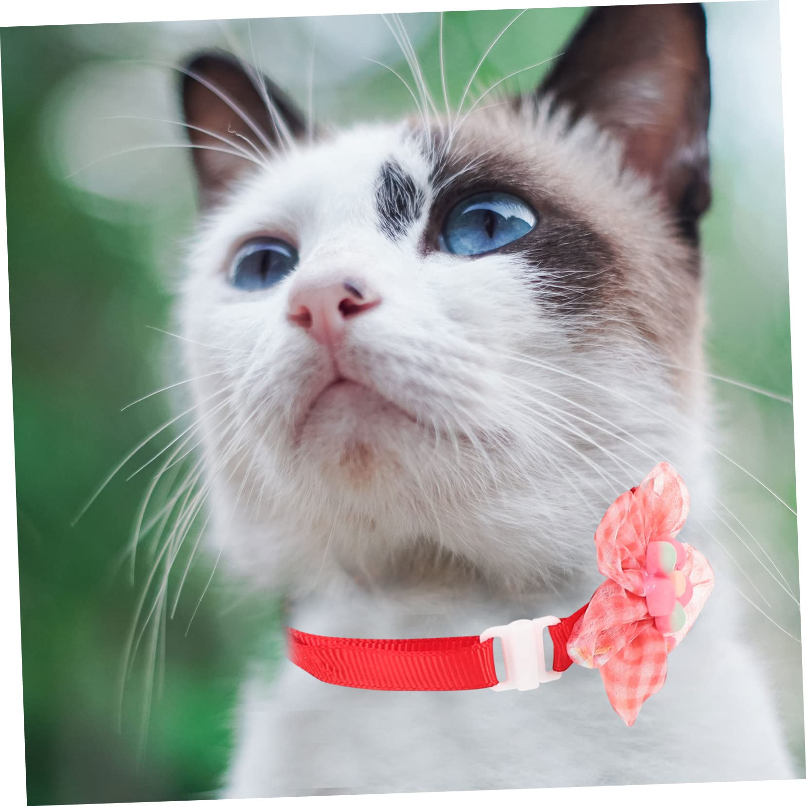 Yardwe 30pièces Collier pour Animaux De Compagnie avec Accessoires De Fête pour Et Chiens De Petite