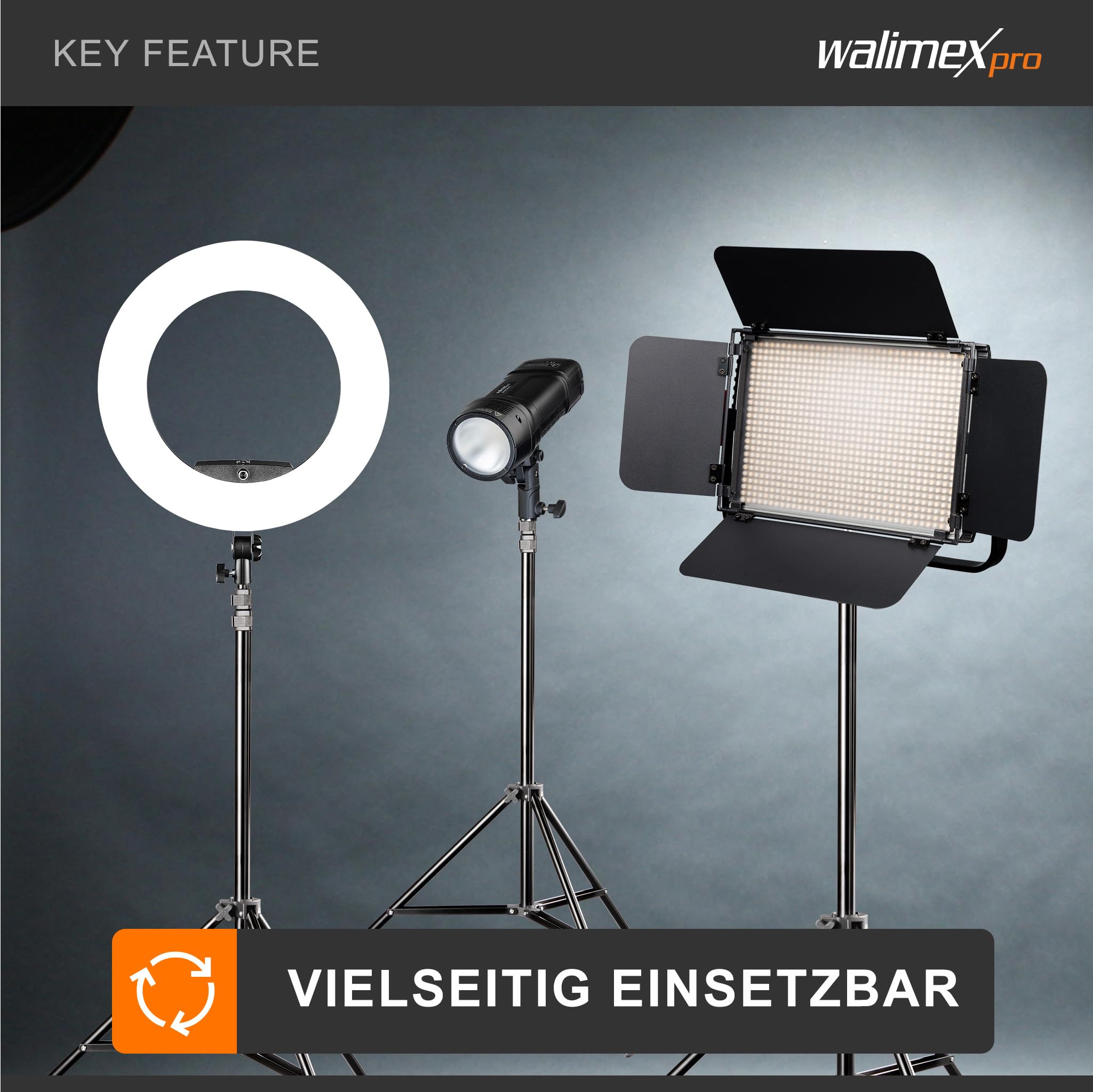 Walimex pro Heavy Duty - Treppiede per lampada in acciaio inox, portata fino a 15 kg, regolabile in altezza fino a 270 cm, ammortizzato con custodia e adattatore per spigot con filettatura da 1/4 e 3