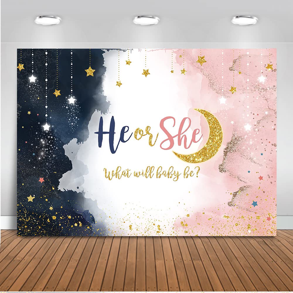 Mocsicka Clouds Starry Gender Reveal Backdrop