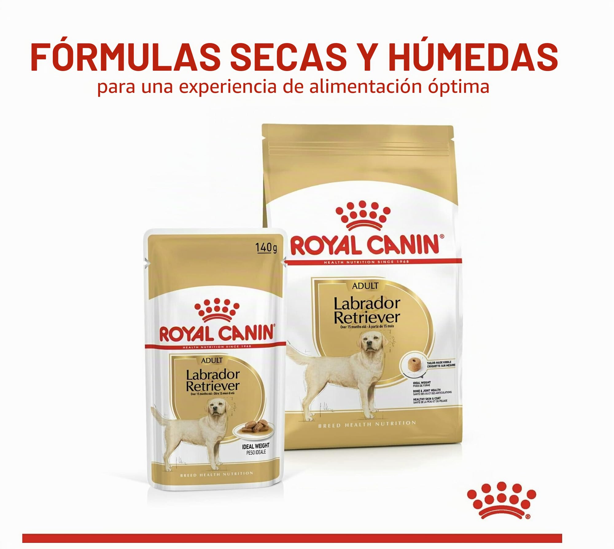 Royal Canine Labrador Adult Caja 10X140GR