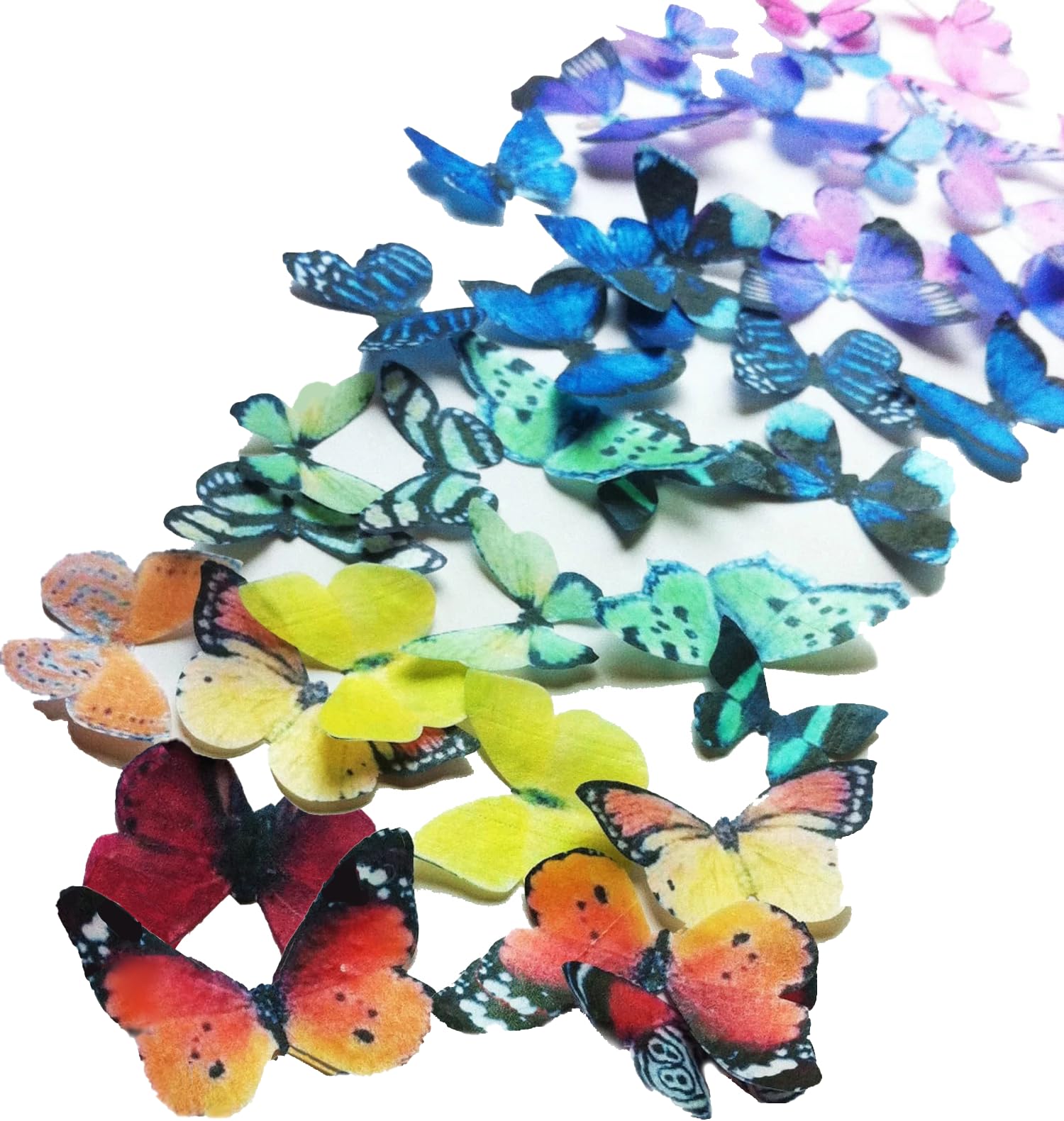 Edible Butterflies Small Size Premium Crafted Made in the USA Cake and Cupcake Toppers, Decoration (Rainbow)