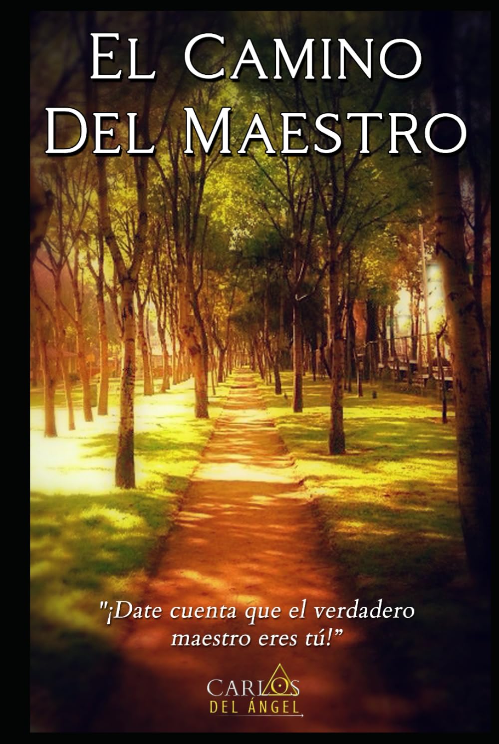 EL CAMINO DEL MAESTRO: Date cuenta que el verdadero maestro eres tú