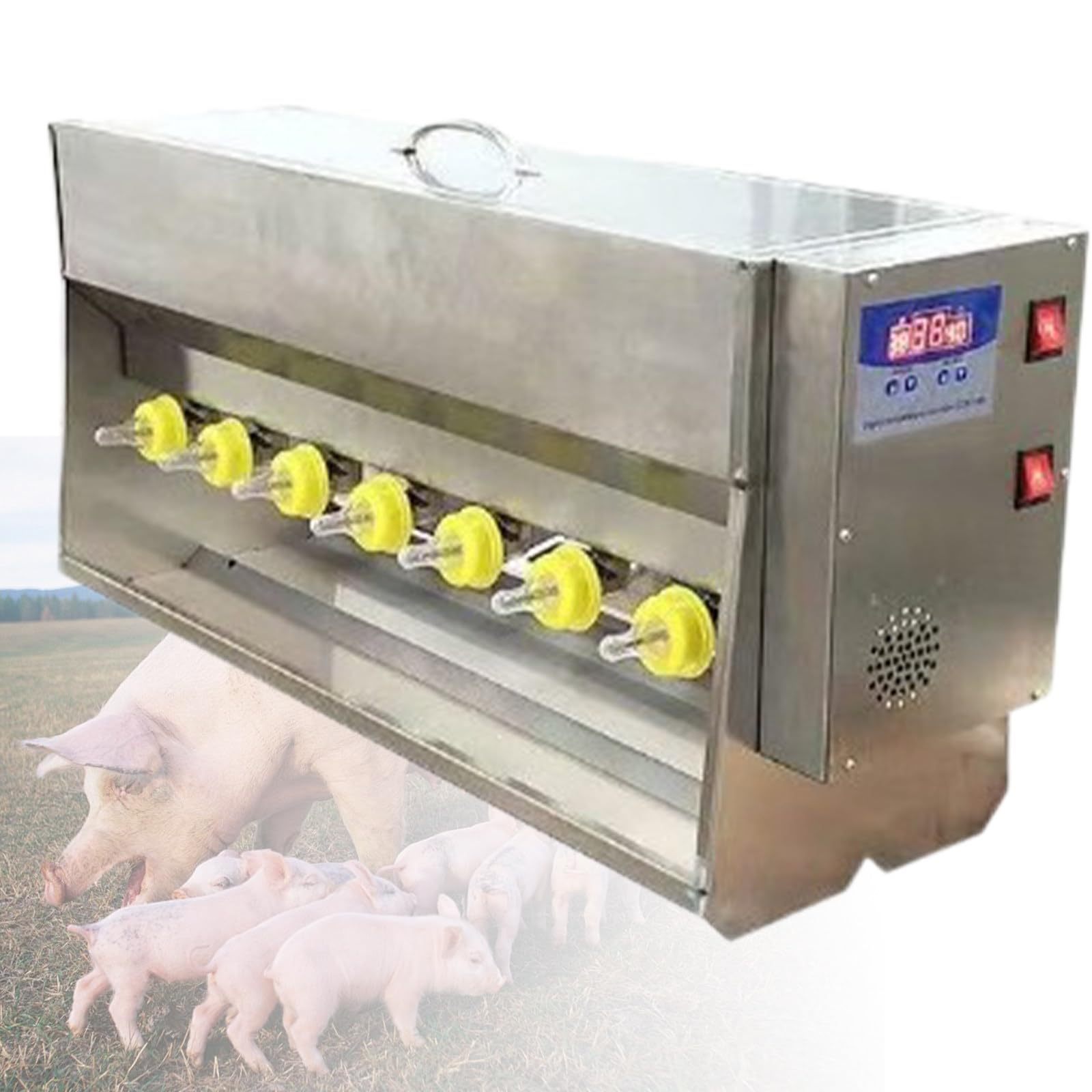 Lait à température constante automatique pour le bien-être des agneaux