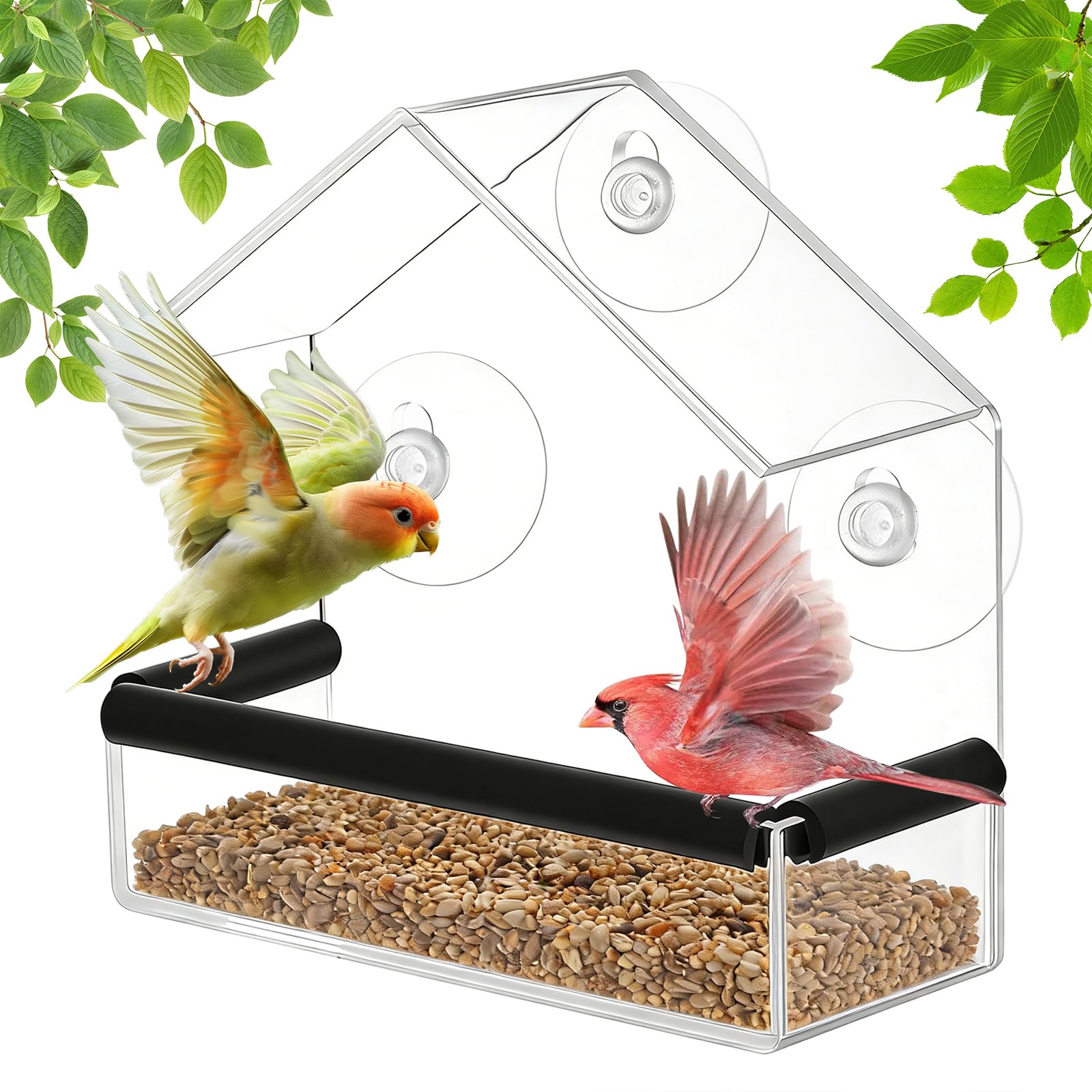 Window Bird Feeder with Suction Cups, Clear