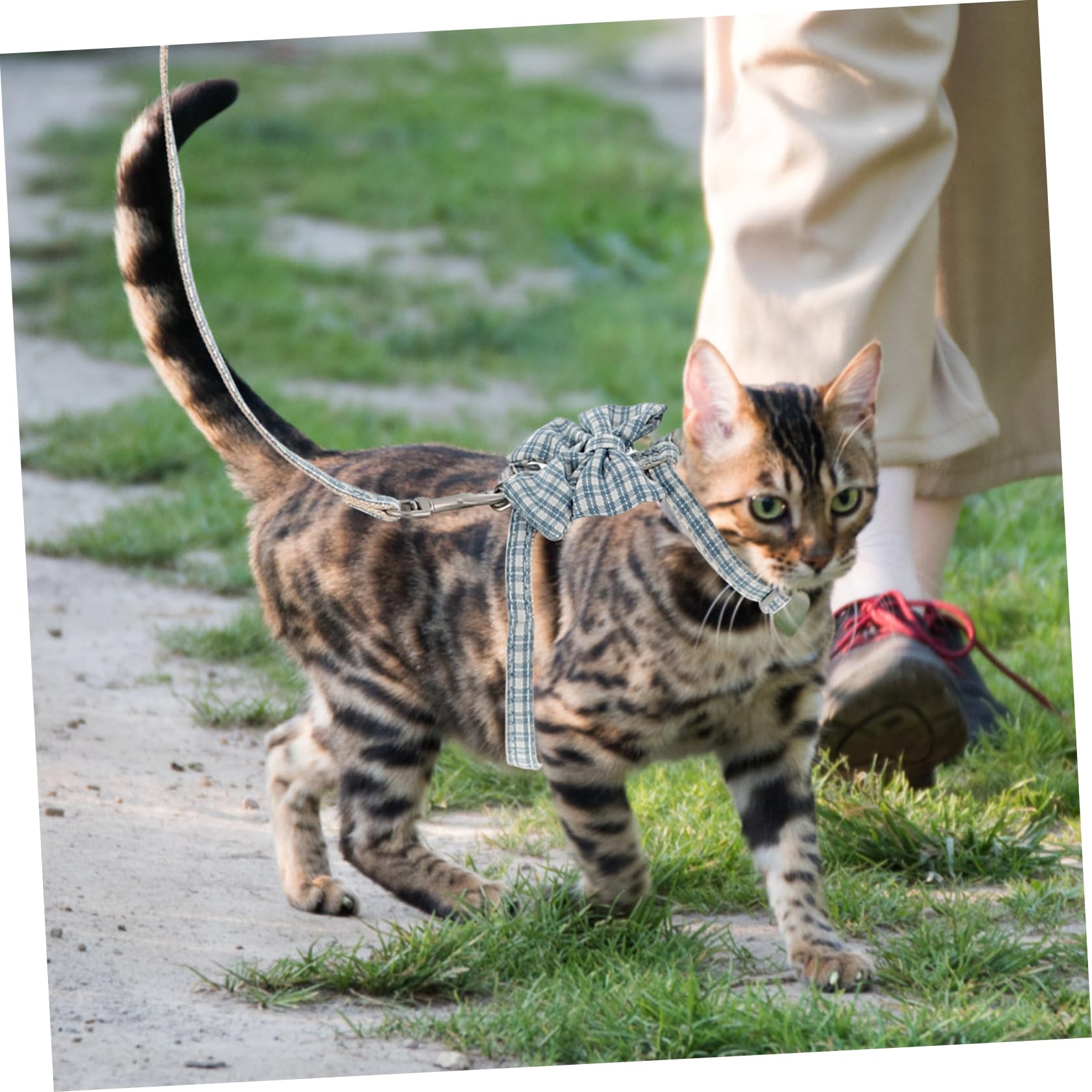 Sosoport 4sets Pettorina e Guinzaglio Per Gatti Regolabile e Leggera Per Passeggiate All Aperto Adatta Gattini Piccoli Facile Da Indossare e Comoda