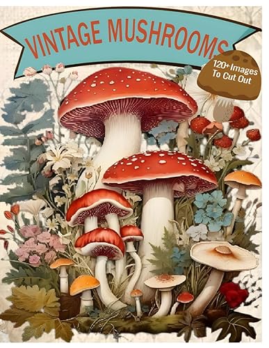 EPHEMERA MUSHROOMS For Junk Journals And Scrapbooks &amp; Vol 1: A book with 160+ Images To Cut Out, Glue and Collage , Mixed Media
