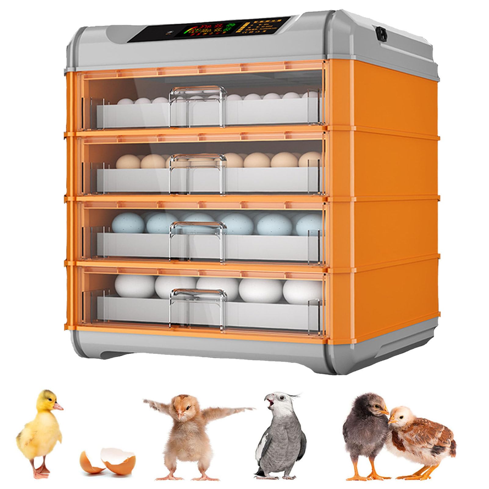 Incubatore di Uova di Gallina con Rotazione Automatica delle Uova, Controllo dell'umidità, Controllo della Temperatura, incubatrici per la cova di Pollo, Anatra, Oca e Uova di quaglia
