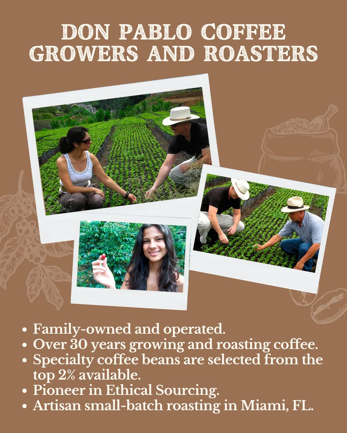 Subtle Earth Organic Coffee - Medium-Dark Roast - Whole Bean Coffee - 100% Arabica Beans - Low Acidity and Non-GMO - 2lb bag