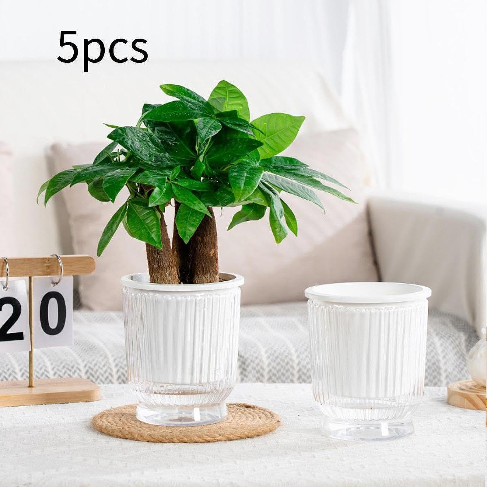 5 Jardinières à Arrosage Automatique, Pots de Fleurs, Pots de Plantes Moderne, Fabriqués en Pet PP de Haute Qualité pour, Clear 12x14.5cm