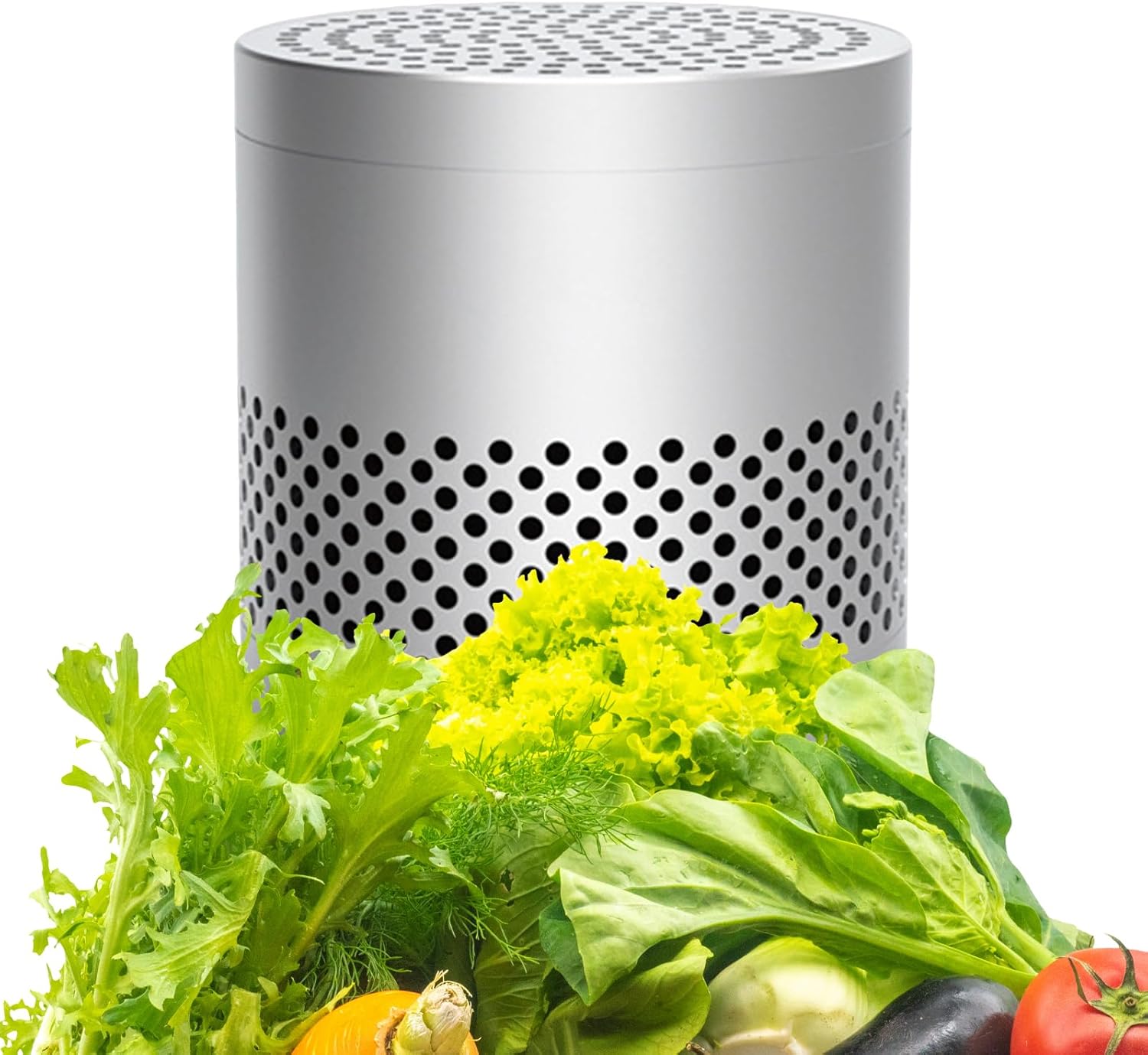 Refrigerator Deodorizer Odor Eliminator Reusable & Lasts Up To 10 Years Multi-Purpose Odor Absorber Fridge Smell Eliminator for Freezer Closet Car Shoes & Enclosed Spaces (Silver)