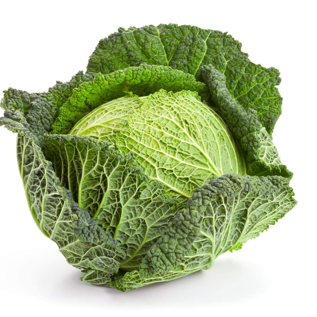 Cabbage Plants, Savoy Cabbage 'Serpentine', 6 x Plug Plant Pack, Winter Vegetable Plants, Grow Your Own, Fresh Produce, Winter Cabbages, Garden Ready and Ready to Plant, Premium Quality Vegetables