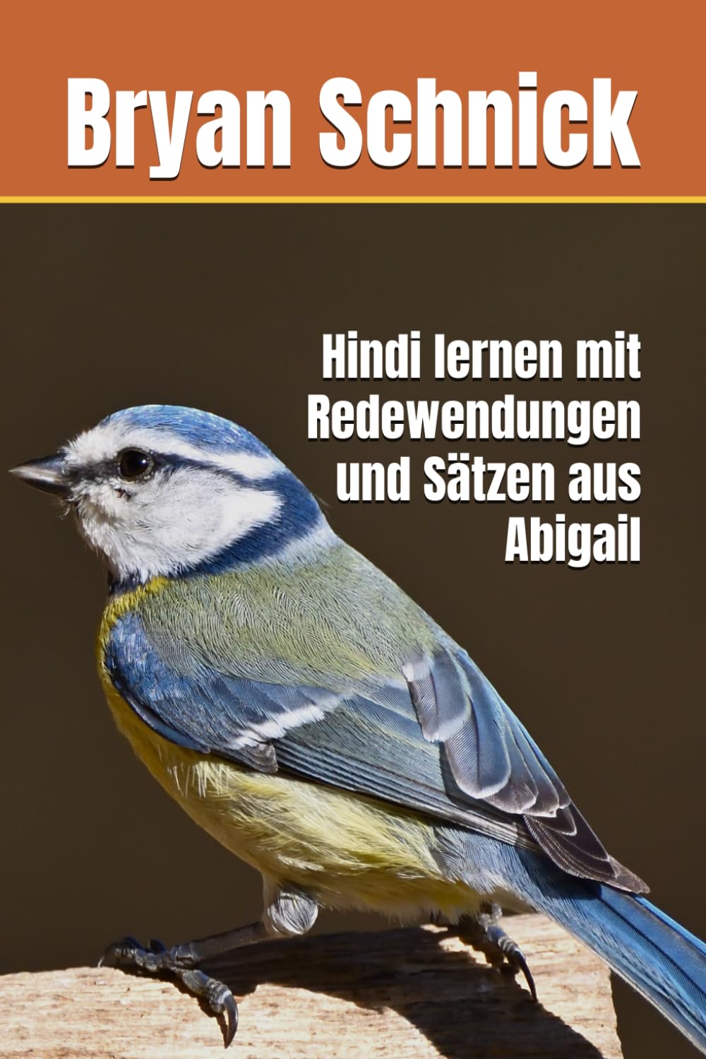 Hindi lernen mit Redewendungen und Sätzen aus Abigail