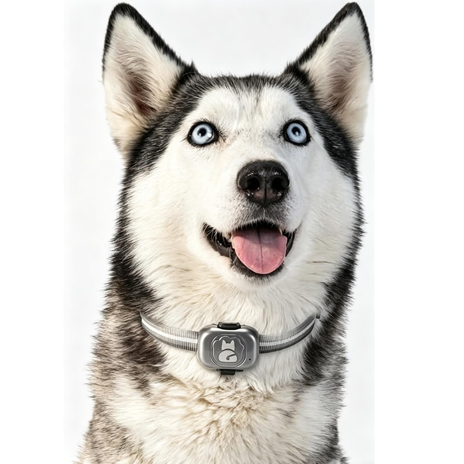 Traceur GPS pour chats et chiens, étanche IP67, localisateur anti-perte, suivi en temps réel, petite alarme, antivol d'animaux domestiques