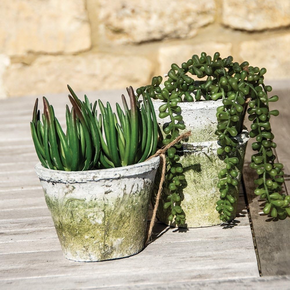 Wholesome Home Rustic Stone Plant Pot, Weathered White Terracotta, Various Sizes, Garden Container (Small Pack of 4 (8x6cm))