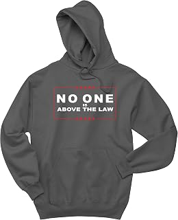NO ONE is Above The Law, Impeachment Inquiry Logo Hooded Hoodie