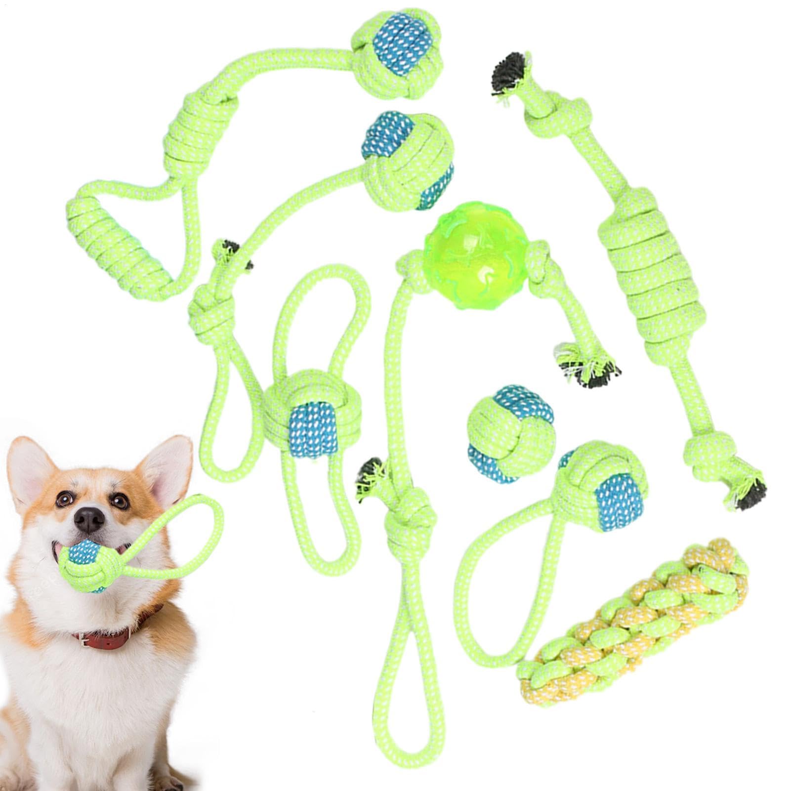 Coton de corde pour chien idéal pour soulager la dentition du chiot en toute sécurité