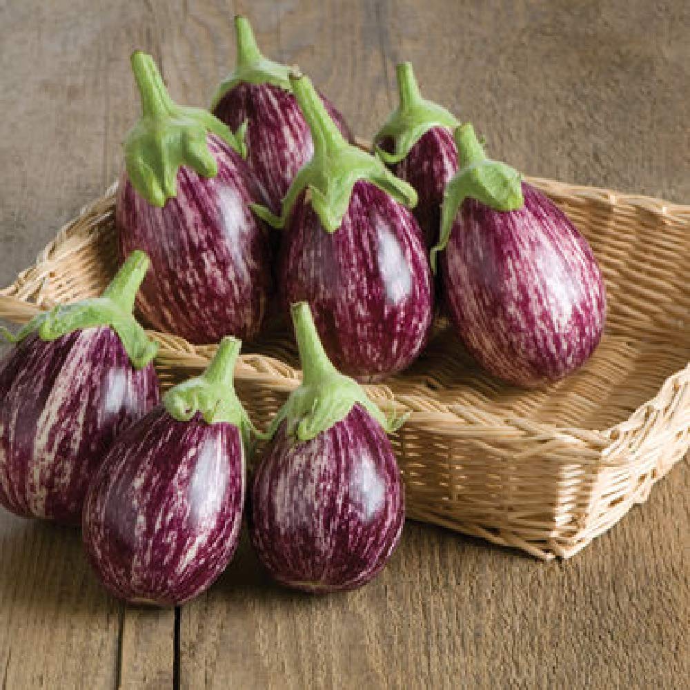 Davids Garden Seeds Eggplant Calliope 3527 Purple 25 Non Gmo