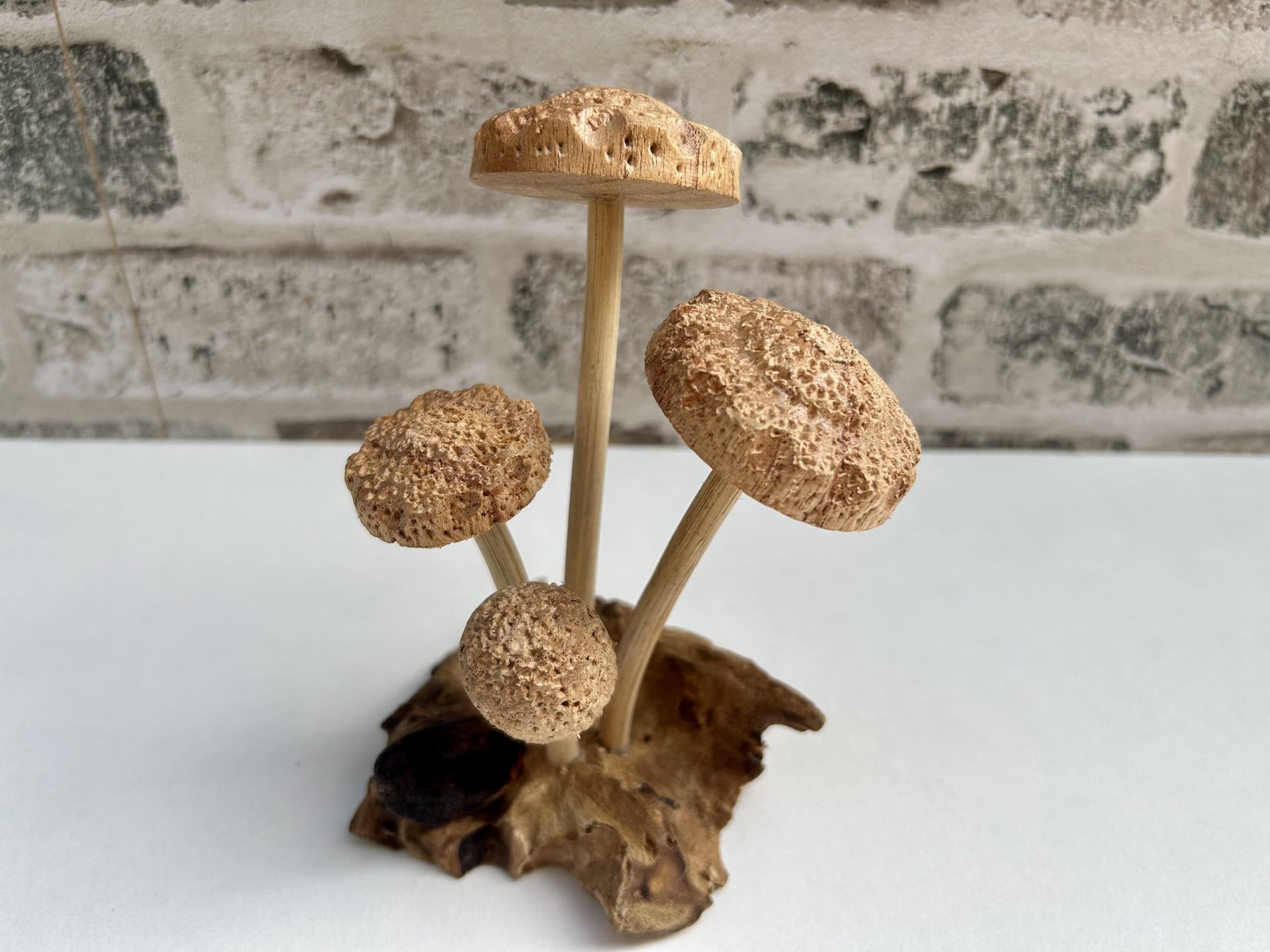 Maisonica 4 Shitake Wood Mushrooms On Wooden Driftwood Base Ornament Sculpture Gift