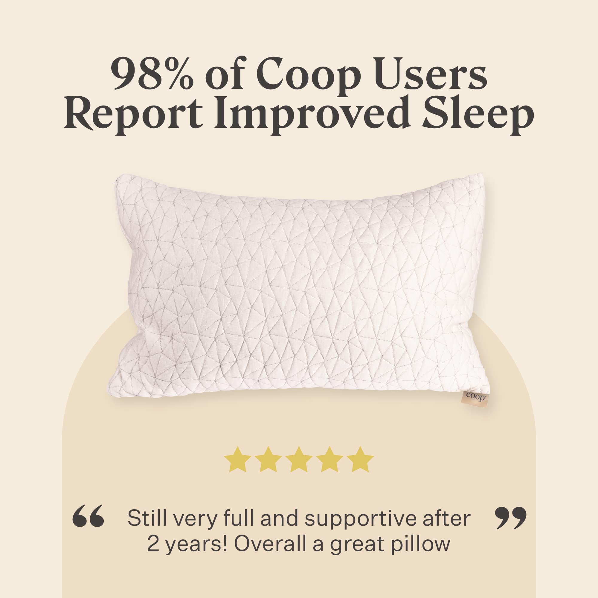 Buy Coop Home Goods Original Loft Pillow King Size Bed Pillows for