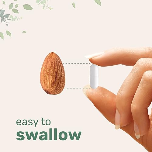 Miniatura 6 de Micro Ingredients Suplemento de vitamina B5 de ácido pantoténico, vitamina B5 500 mg por unidad, 365 cápsulas (suministro de 1 año), vitamina del