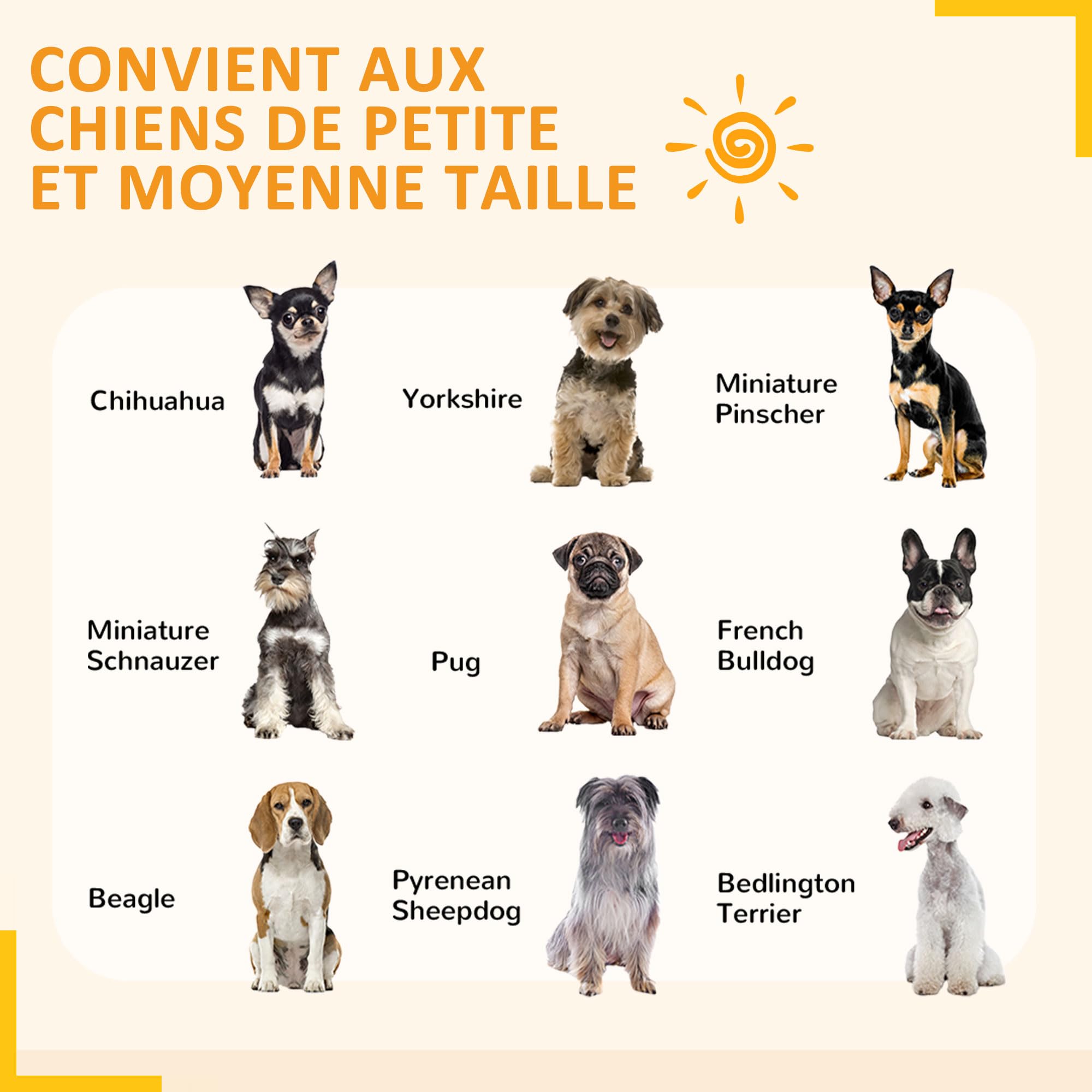 PawHut Parc Enclos Modulable pour Chien, Chiot, 1 Porte, 80 x 80 cm Noir | Clôture, 6 Panneaux, Parc de Jeu et d'Exercice en Acier, Chiens, Chiots, Animaux de Compagnie, Hauteur 80 cm