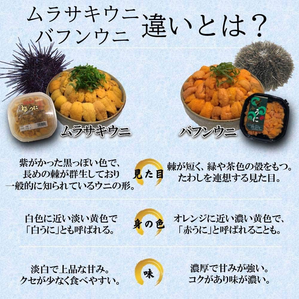ムラサキ ウニ バフンウニ