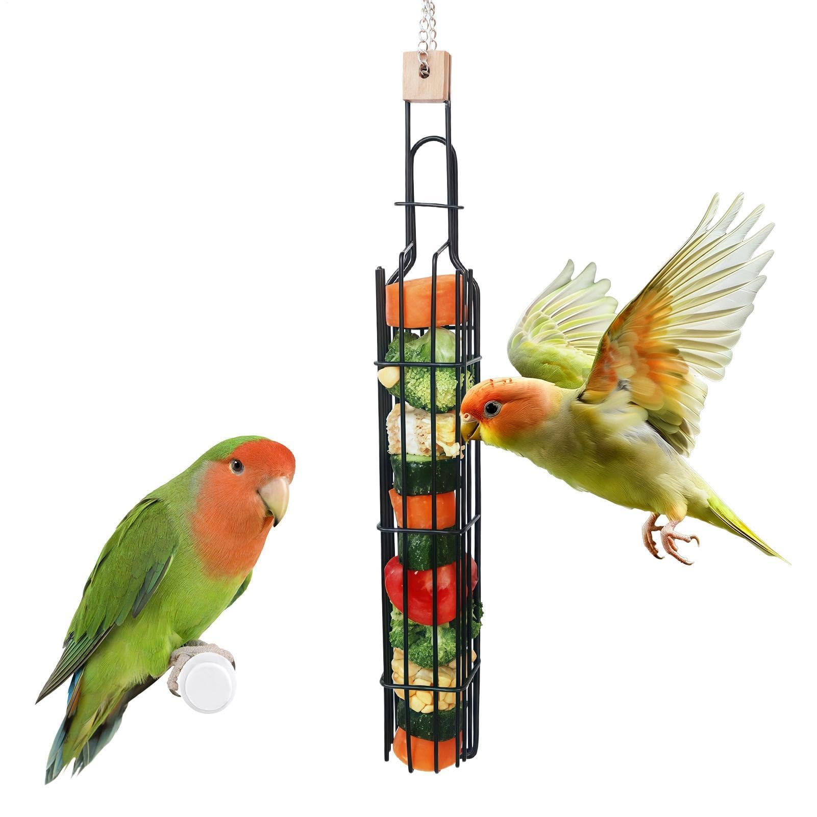 Panier recherche nourriture perroquet pour animer la cage des calopsittes et inséparables