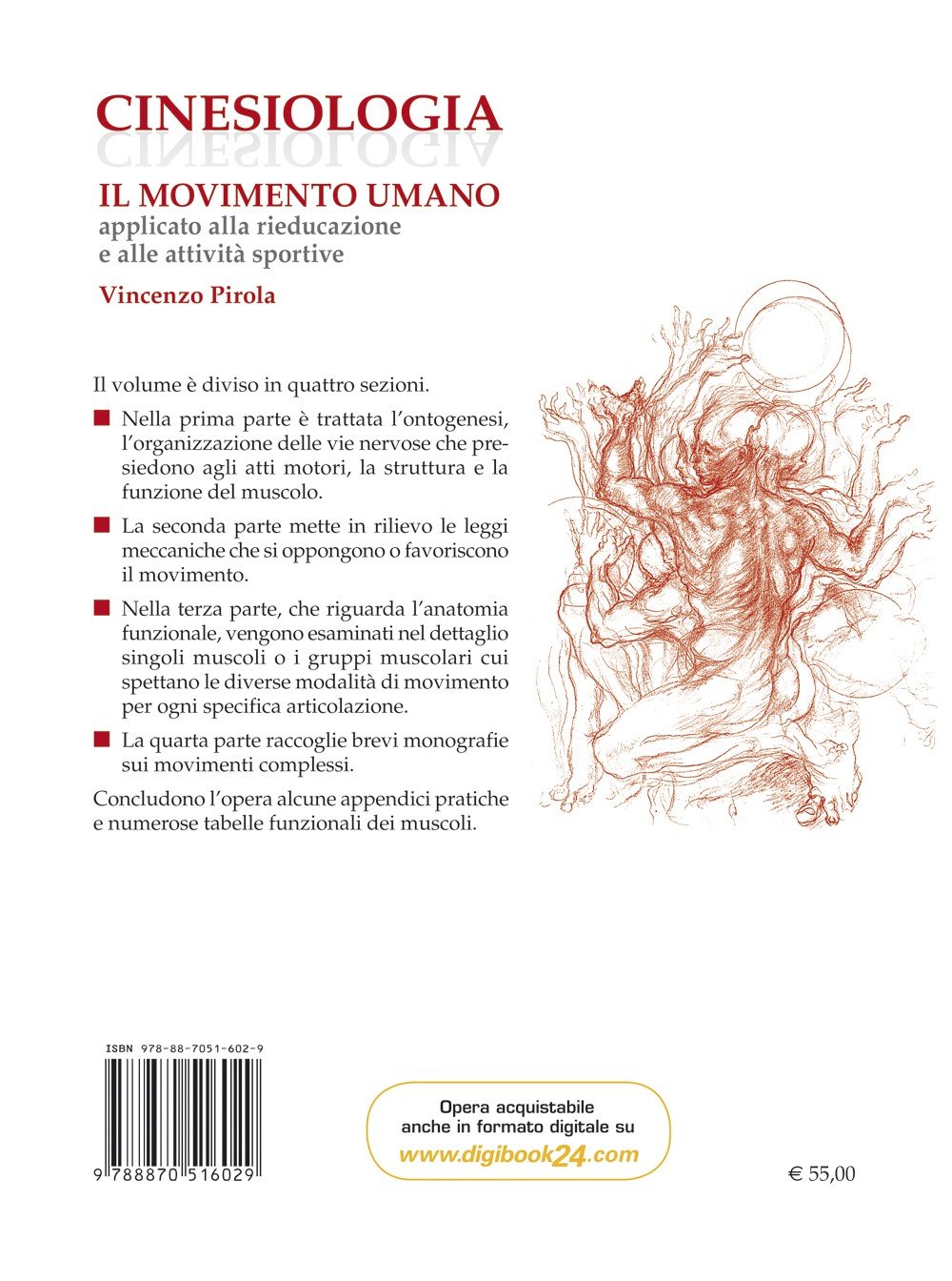 Cinesiologia. Il movimento umano applicato alla rieducazione e alle attività sportive