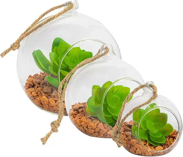 Nicola Spring Hanging Glass Terrarium - 3 Sizes for Indoor/Outdoor Plants