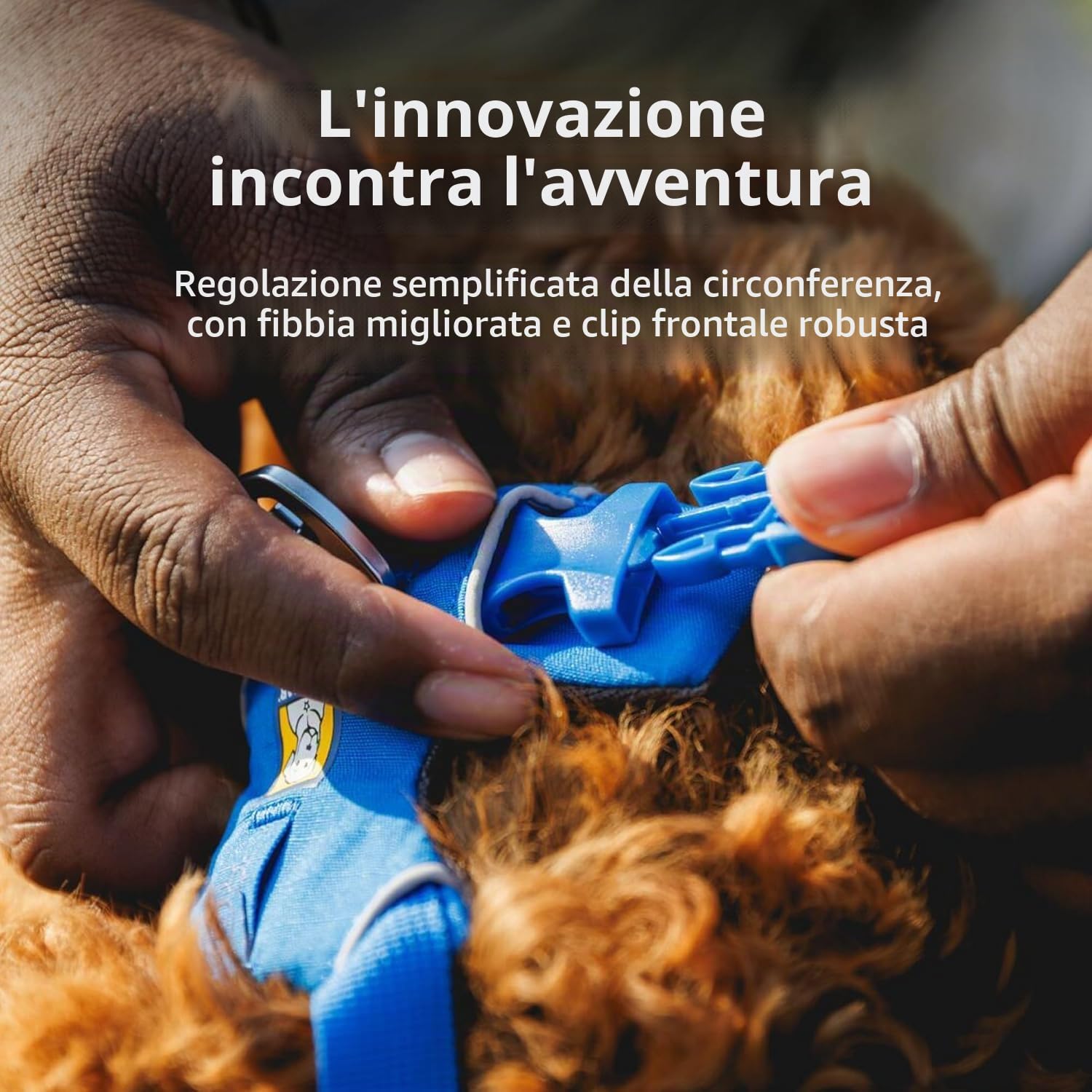 RUFFWEAR Pettorina per Cani, Front Range, Pettorina da Passeggio Imbottita Comoda Regolabile per Tutti i Giorni, 2 Attacchi per Guinzaglio, Fettuccia con Clip, Red Sumac, Large/X-Large