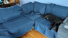 Review Image by sal.amanda sal.amanda