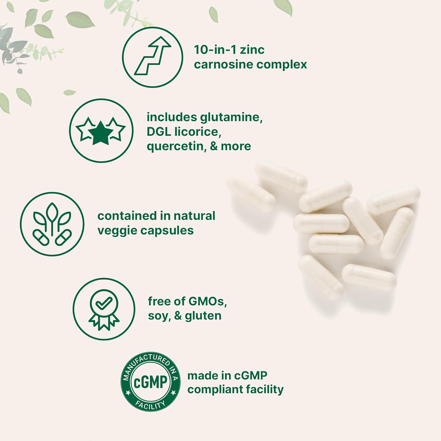 Zinc Carnosine 75mg, 240 Veggie Capsules | 10-in-1 Zinc Supplements for Men & Women with Glutamine, DGL Licorice, Quercetin, Slippery Elm Bark, & Ginger Root | Non-GMO, Gluten Free - Image 3