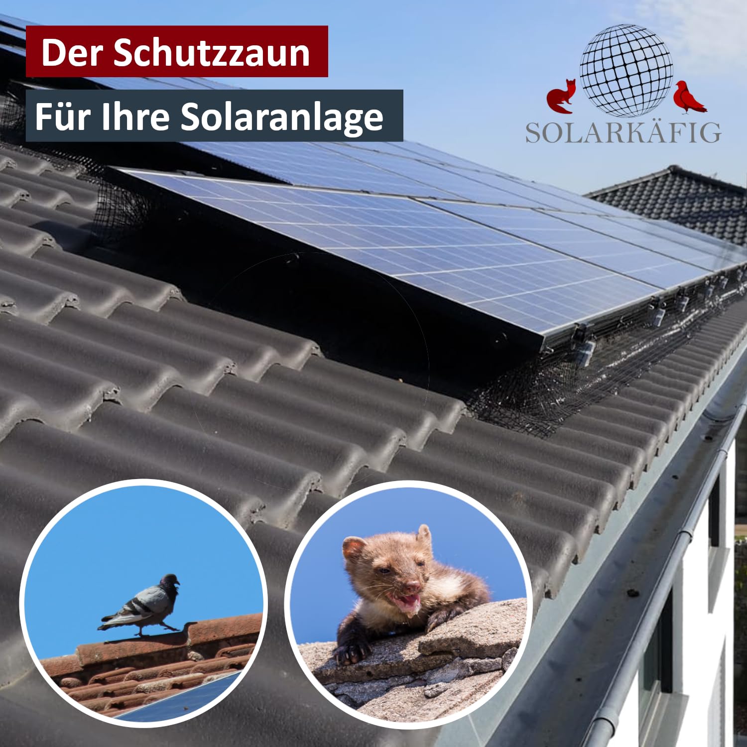 Solarkäfig Taubenabwehr für Solaranlagen – Taubenschutz PV-Anlage, Marderschutz, Vogelabwehr – Langlebig, UV-beständig, einfache Montage – Vogelschutz PV (15cm x 30 Meter Edelstahl)
