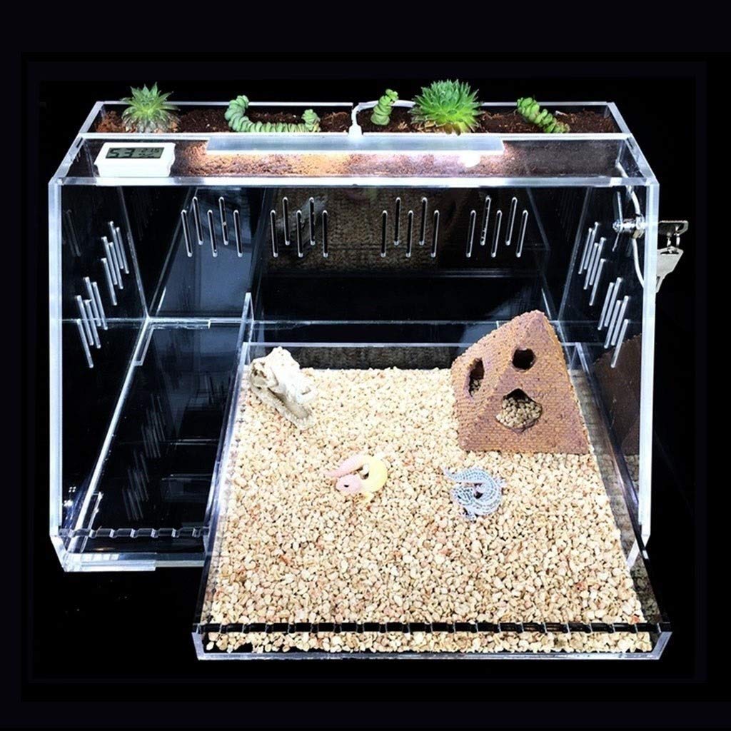 Terrario Gecko ecológico Transparente, Tienda de Mascotas, Nido Aislante para Reptiles, Tanque para Insectos hámster Erizo