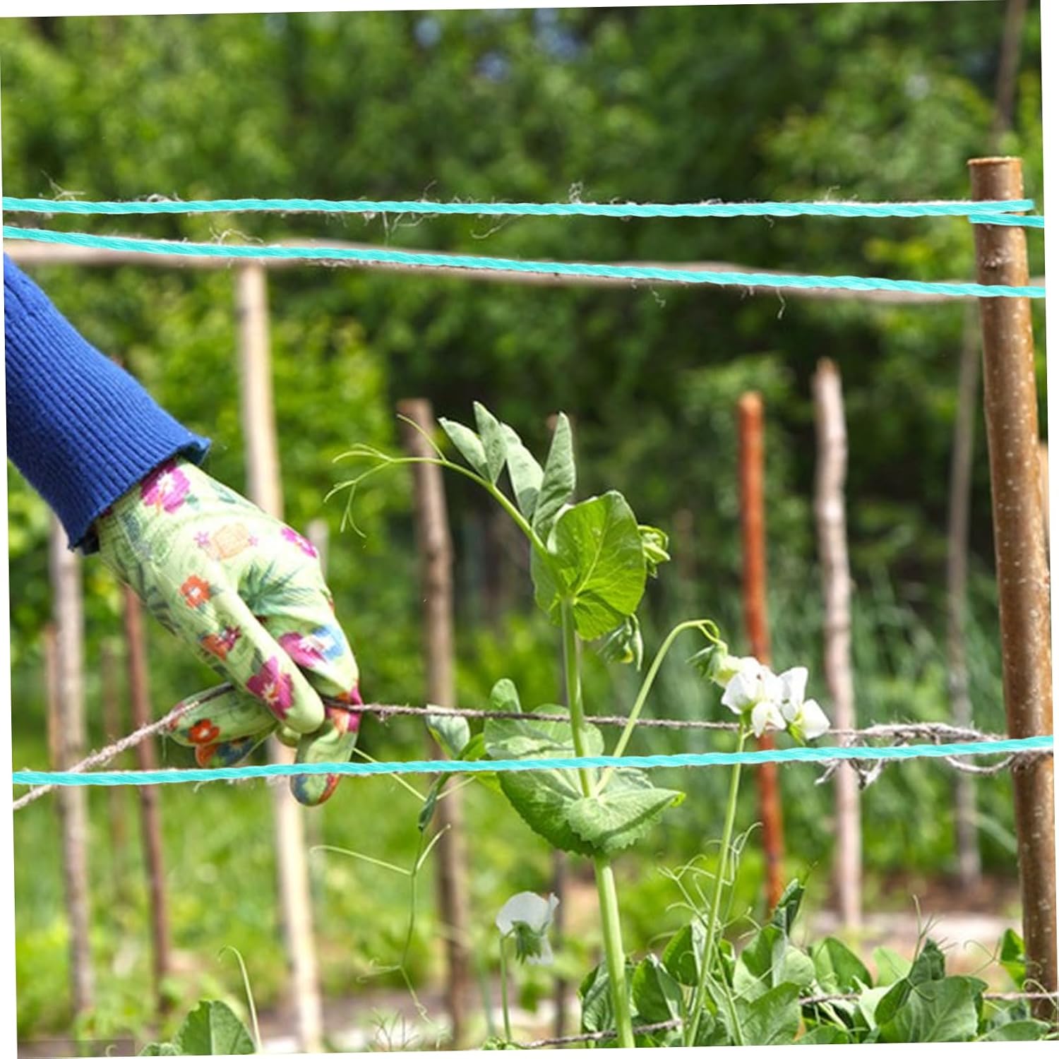 1Roll Climbing Plant Twine String Durable Low Elasticity Strands Twine for Gardening Plant Support Fishing Net Making Outdoor Use