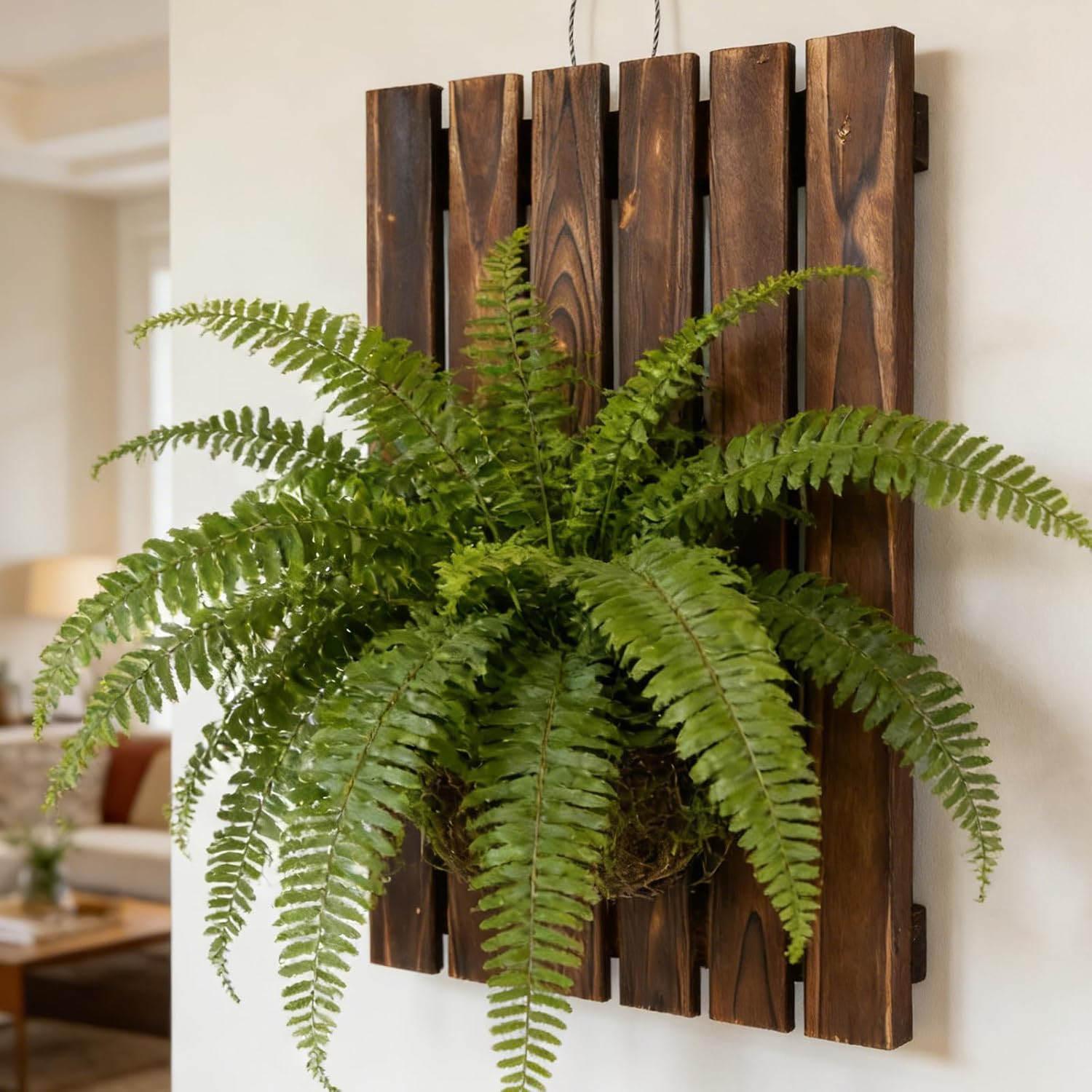 Wall-Mounted Planter Board: Wood Fern Mount - Wall Plant Display Holder for Succulents Orchids Orchids Fern Tropical Plants 15.7x11.5in